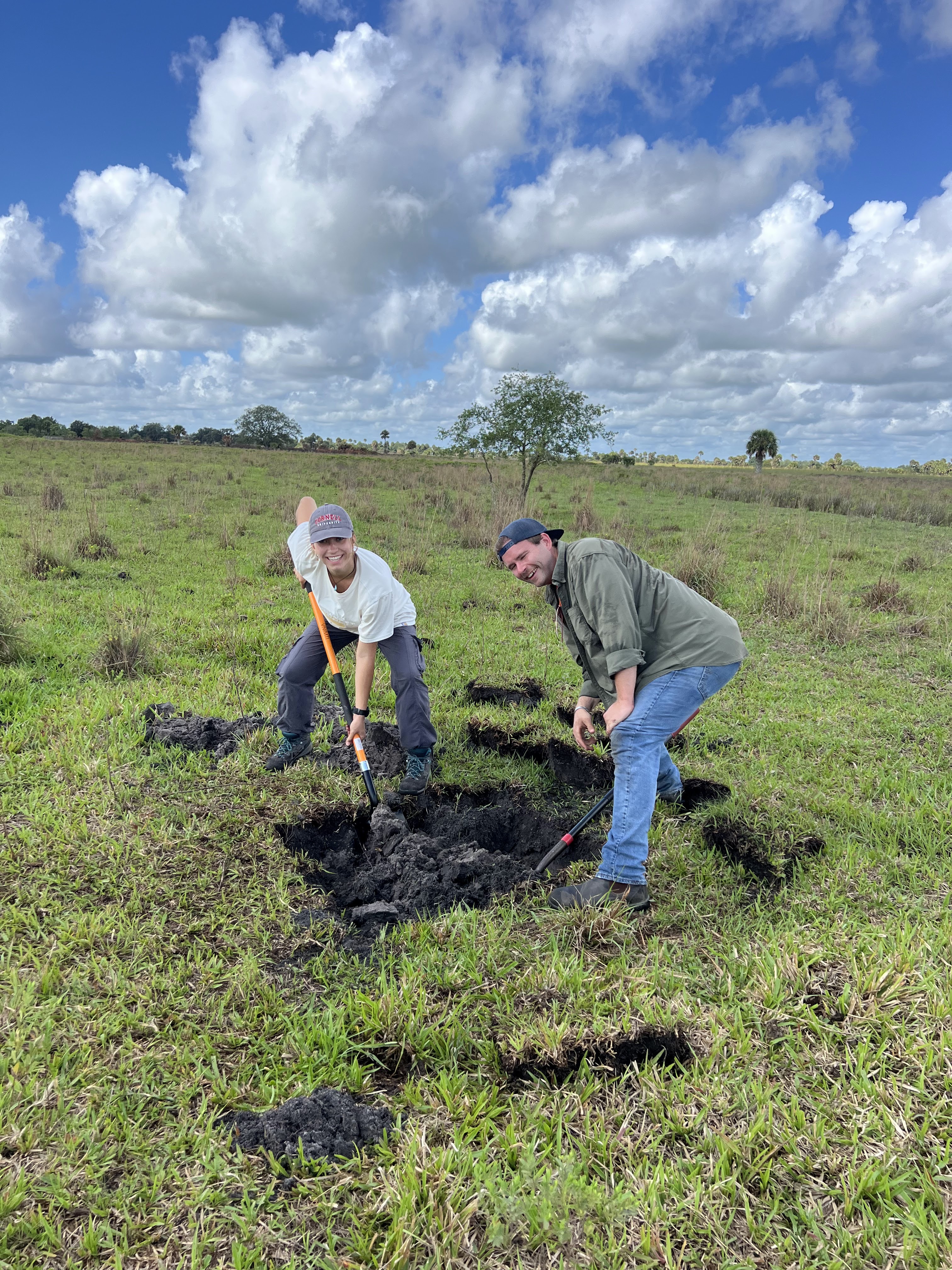 Excavating a soil profile
