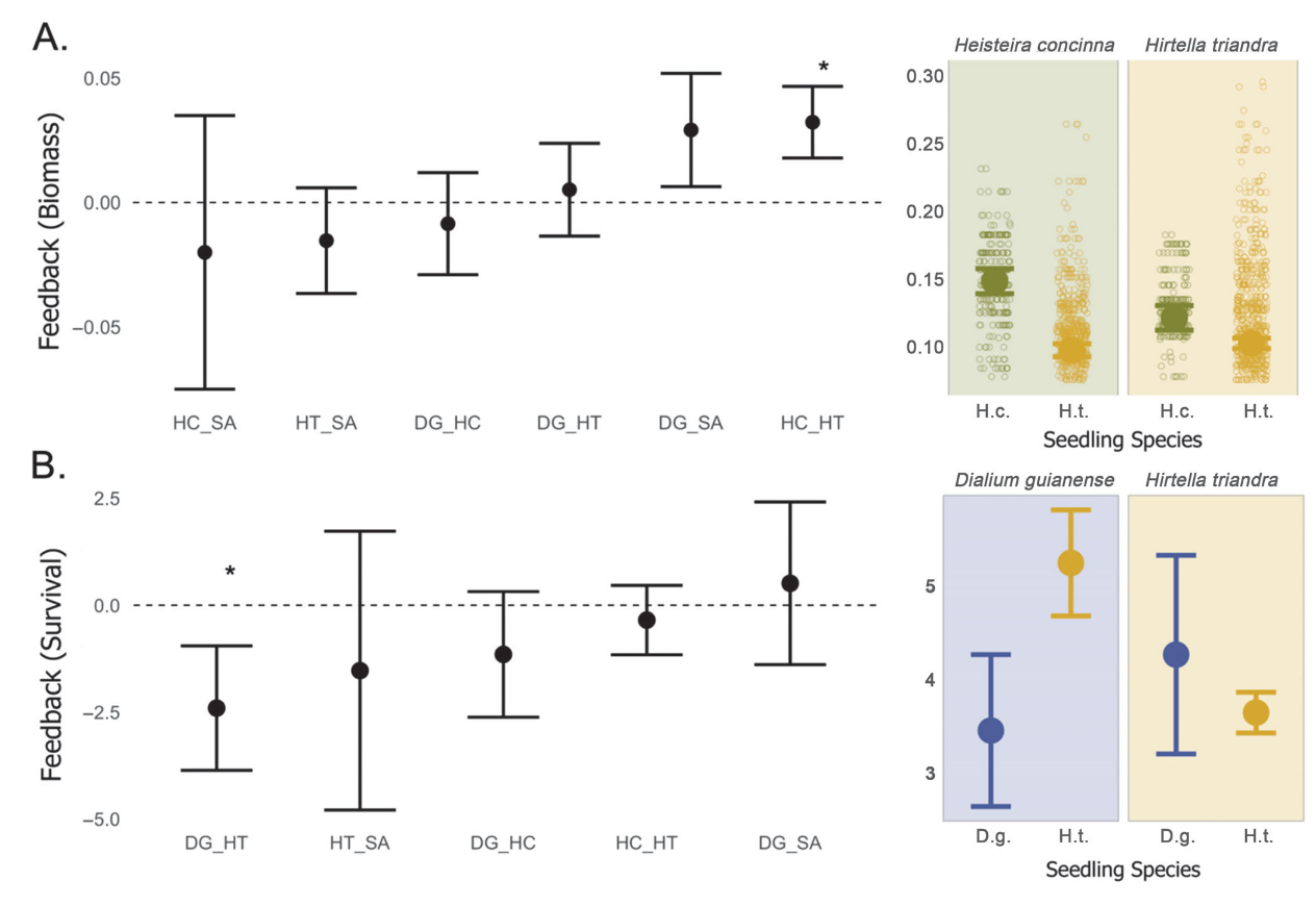 Fungal dissimilarity figure