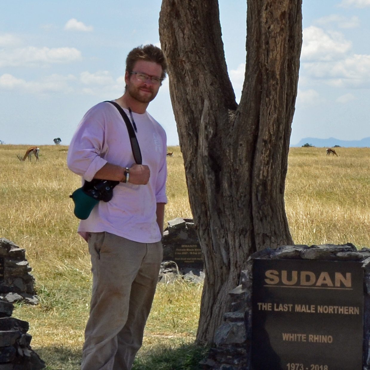 With Sudan, the last male northern white rhino