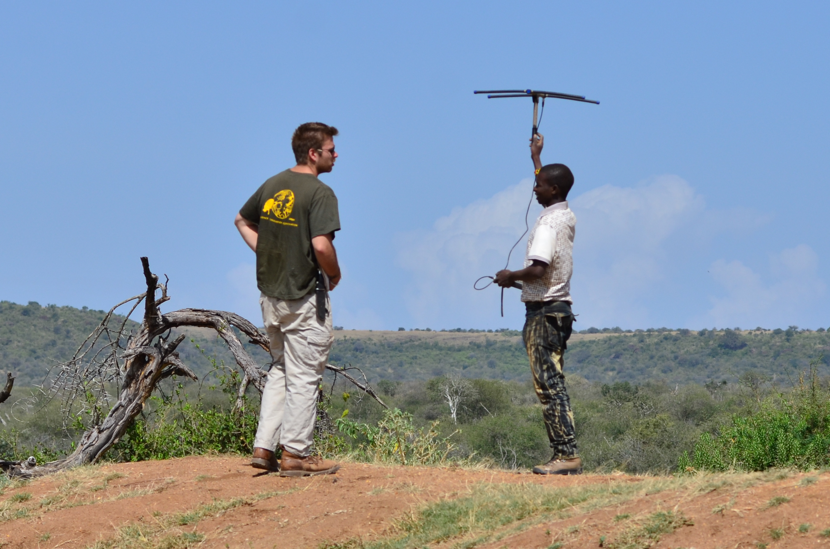 VHF radio telemetry fieldwork