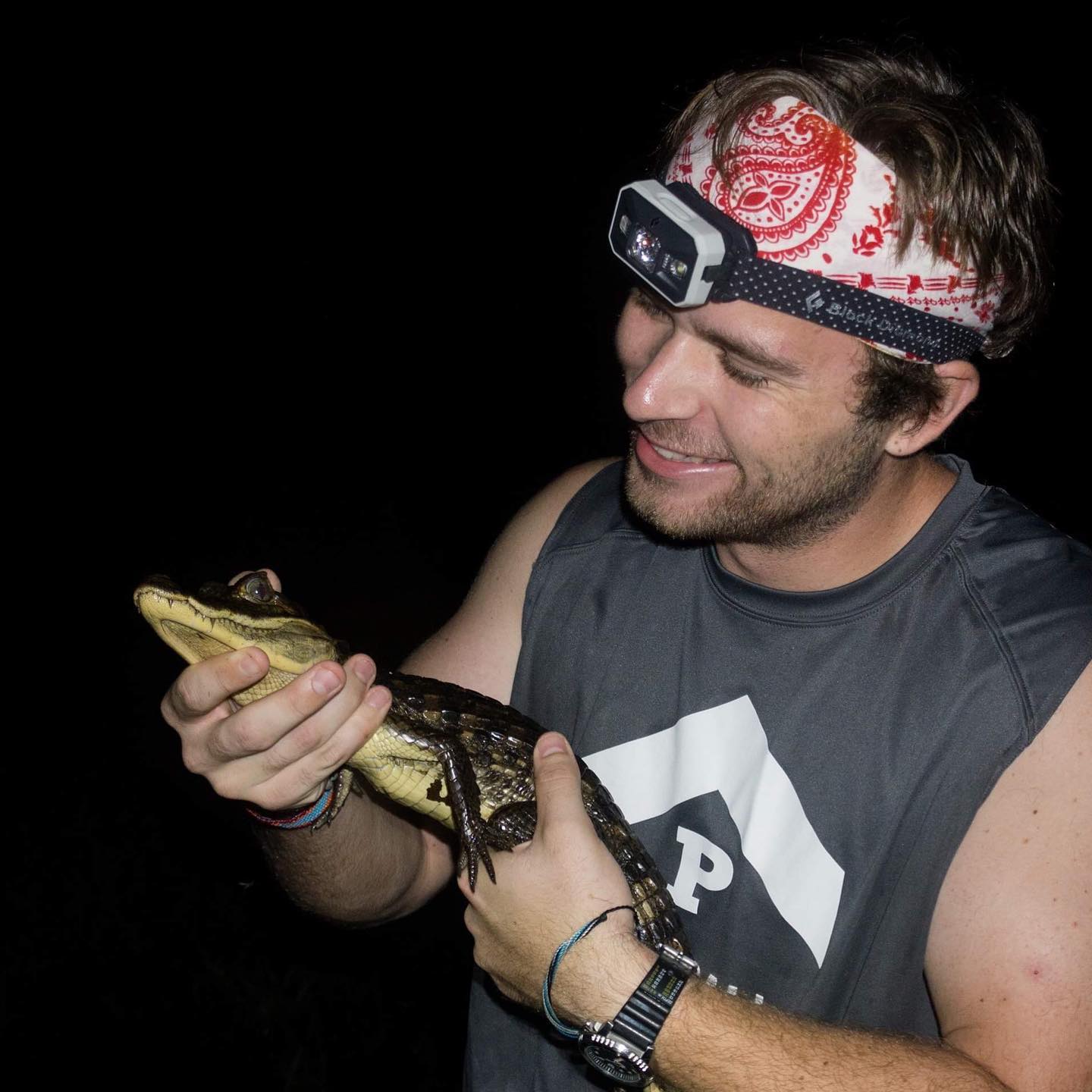Baby caiman on Barro Colorado Island