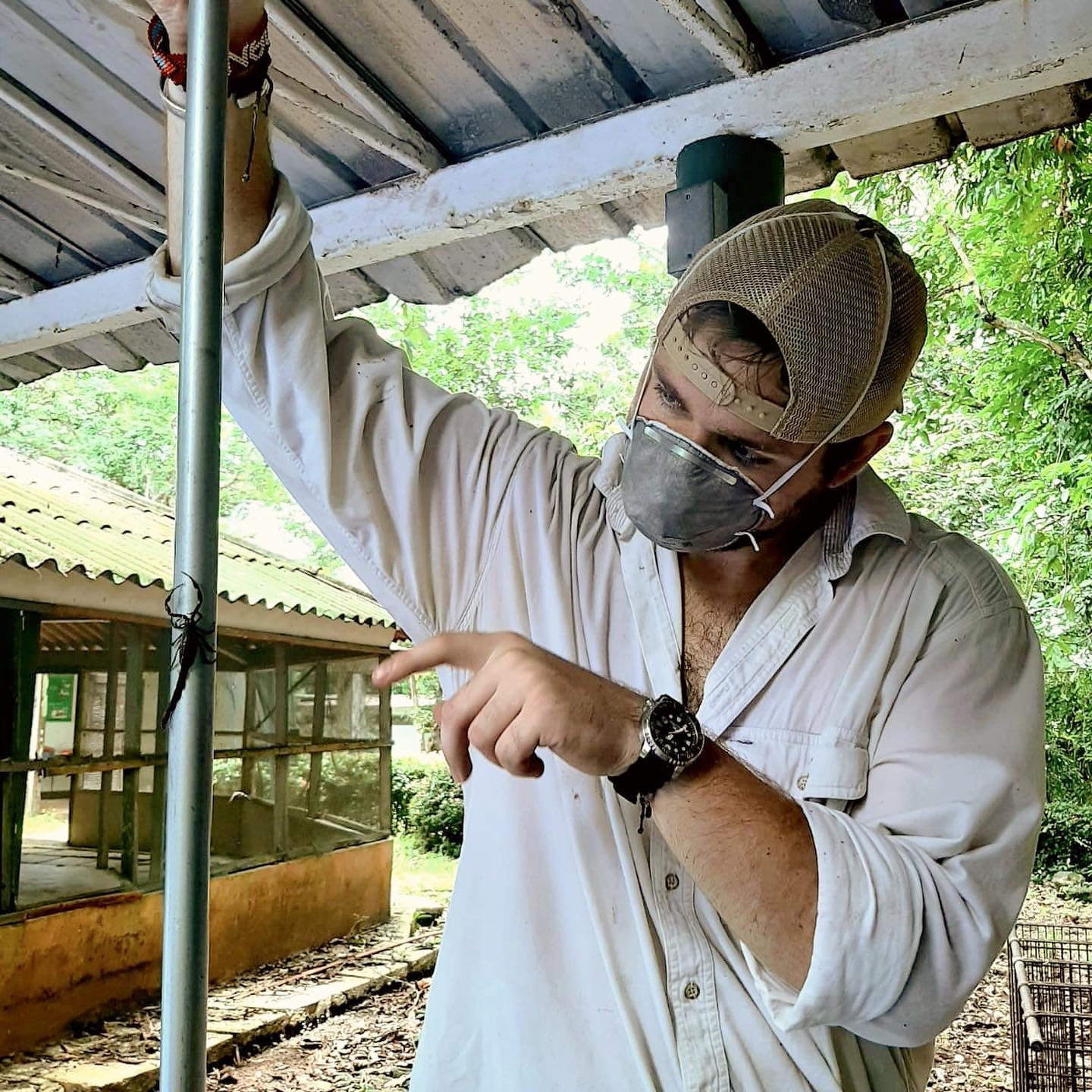 Scorpion on Gigante Peninsula, Panama
