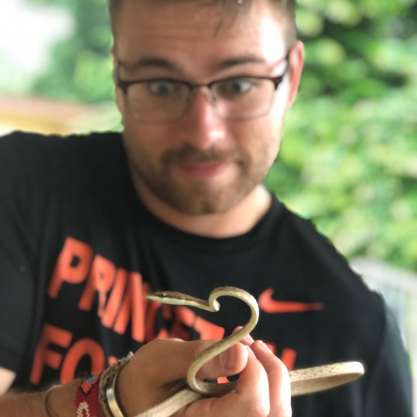 Oxybelis vine snake encountered during fieldwork